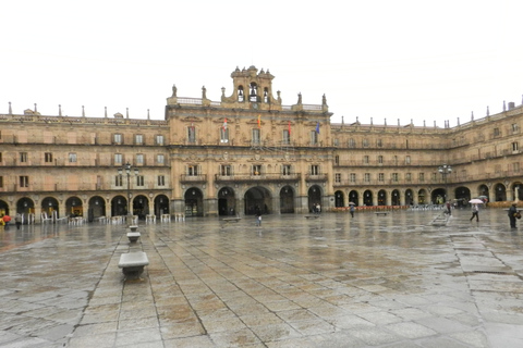 Da Madrid: Escursione di un giorno a Ávila e Salamanca con tour guidatoTour di gruppo