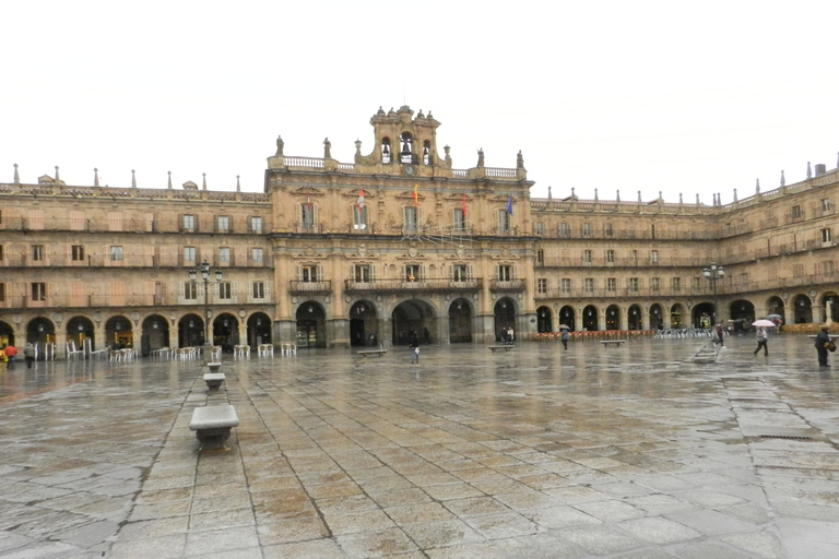 Depuis Madrid : Excursion d'une journée à Ávila et Salamanque avec visite guidée