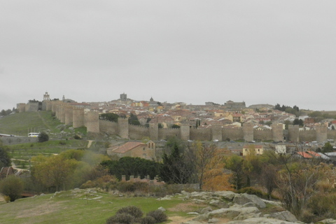 Vanuit Madrid: Dagtocht naar Ávila en Salamanca met gids