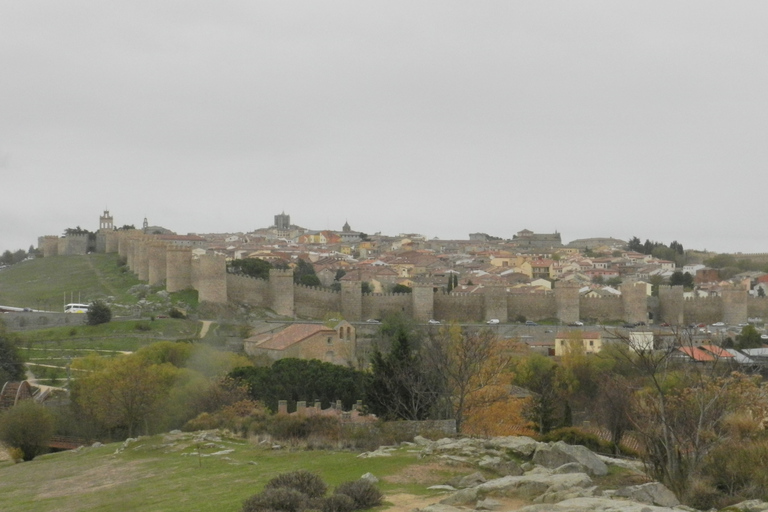 Depuis Madrid : Excursion d'une journée à Ávila et Salamanque avec visite guidée