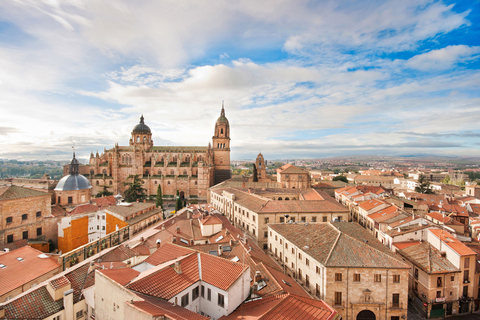 Depuis Madrid : Excursion d'une journée à Ávila et Salamanque avec visite guidée