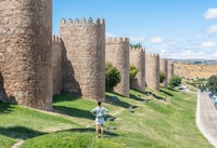 Van Madrid, dagtocht naar Ávila en Salamanca met Guided Tour - Housity