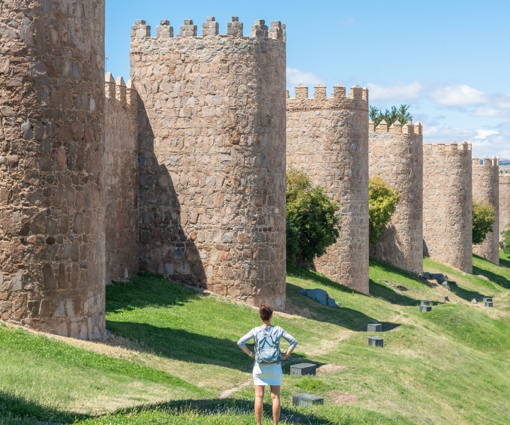 From Madrid: Day Trip to Ávila and Salamanca w/ Guided Tour
