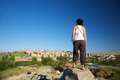 Depuis Madrid : Excursion d'une journée à Ávila et Salamanque avec visite guidée