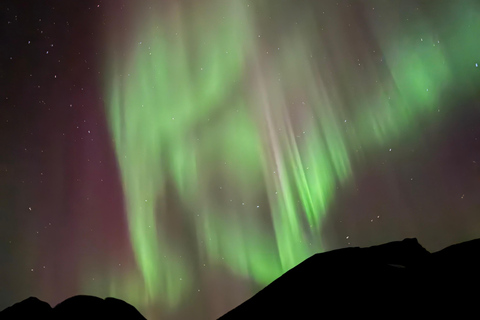 Tromsø: Private Northern Lights Chase by Mercedes V-class Tromsø: Express Private Northern Lights Chase