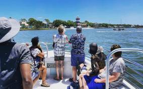 Hilton Head Island: Dolphin Cruise & Nature Tour