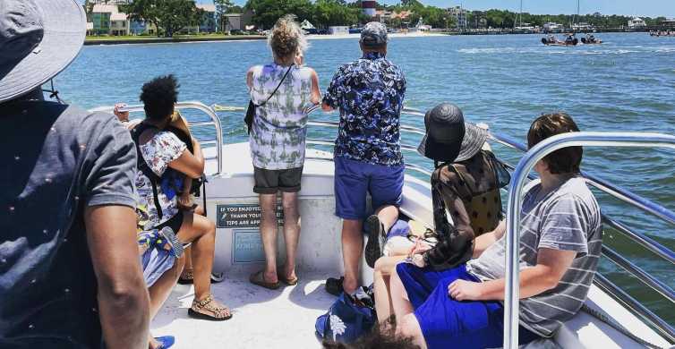 Hilton Head Island Dolphin Cruise & Nature Tour