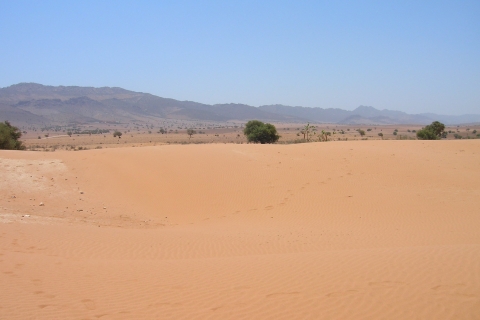 Depuis Agadir : journée dans le désert et thé marocain