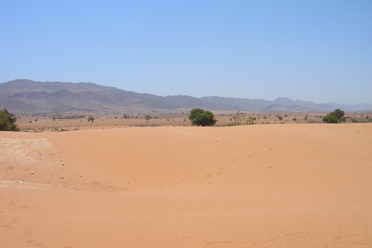 Depuis Agadir : journée dans le désert et thé marocain