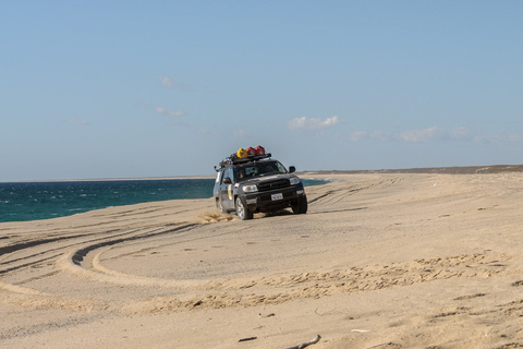 Agadir/Taghazout/Port: Sahara Desert 4x4 Day Trip with Lunch Tour From Taghazout/Tamraght/Anza/Aourir