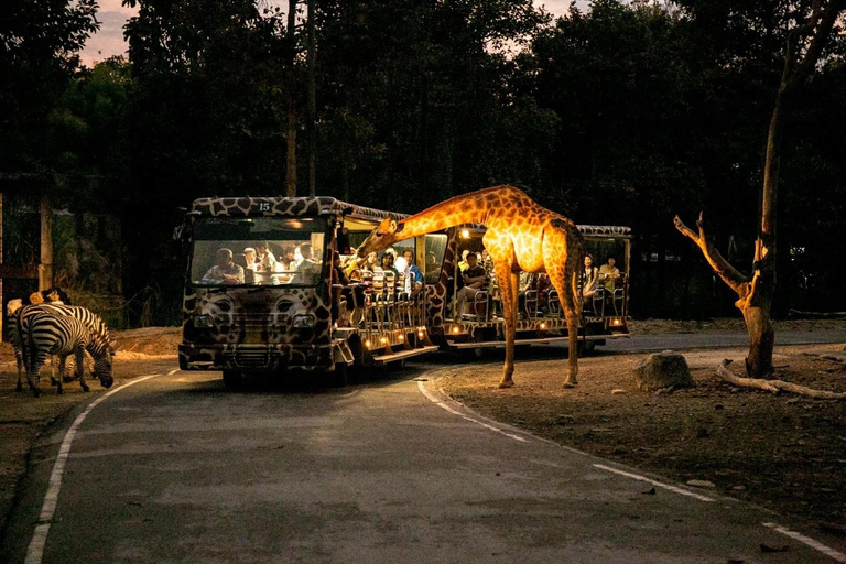 Chiang Mai: Night Safari Entry Ticket Entry Ticket + One Tram Ride