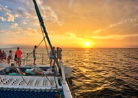 Kaanapali, cena al atardecer Catamaran Cruise con bebidas - Housity
