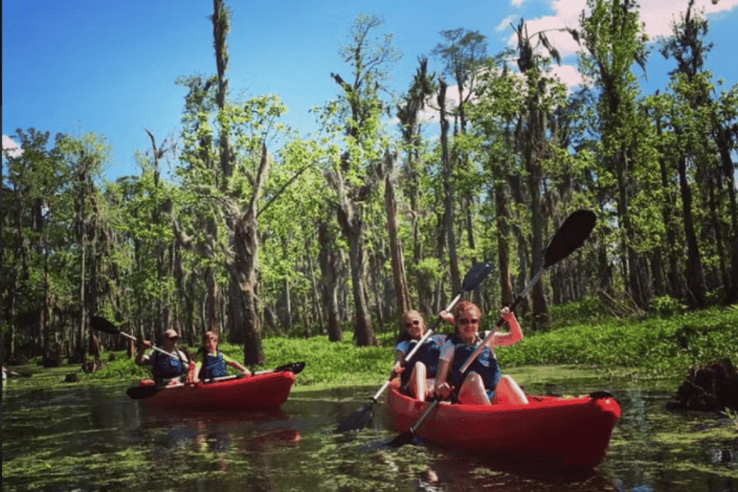 New Orleans: Manchac Swamp Wildlife Kayaking Tour - New Orleans: Manchac Swamp Wildlife Kayak Tour