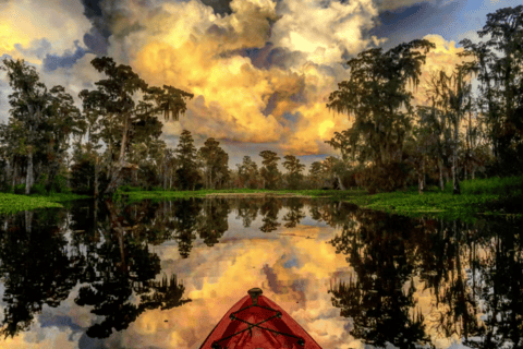 New Orleans: Manchac Swamp Wildlife Kayaking Tour New Orleans: Manchac Swamp Wildlife Kayak Tour