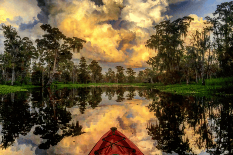 New Orleans: Manchac Swamp Wildlife Kayaking Tour New Orleans: Manchac Swamp Wildlife Kayak Tour