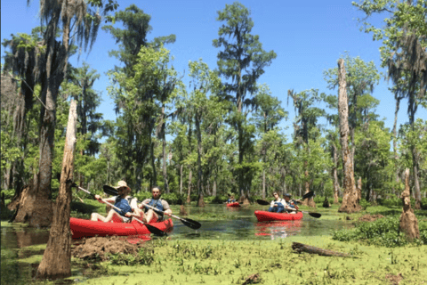 New Orleans: Manchac Swamp Wildlife Kayaking Tour New Orleans: Manchac Swamp Wildlife Kayak Tour