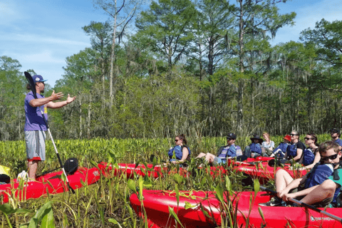New Orleans: Manchac Swamp Wildlife Kayaking Tour New Orleans: Manchac Swamp Wildlife Kayak Tour