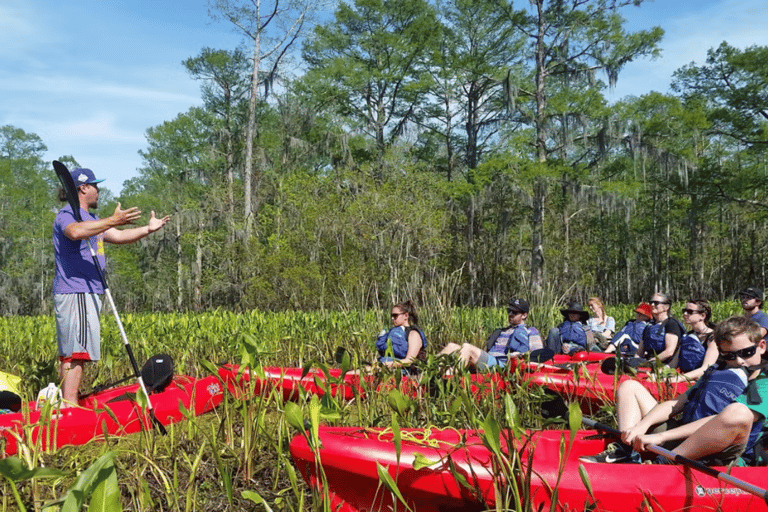 New Orleans: Manchac Swamp Wildlife Kayaking Tour New Orleans: Manchac Swamp Wildlife Kayak Tour