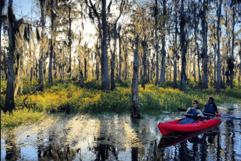 New Orleans: Manchac Swamp Wildlife Kayaking Tour New Orleans: Manchac Swamp Wildlife Kayak Tour