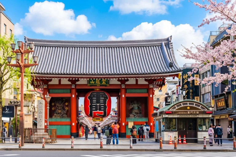 Tokyo: Tsukiji Market + Sensoji Temple: Food & Culture Tour