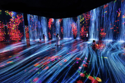 Miami: &#039;Superblue Miami&#039; Immersive Art Experience TicketSuperblue Entrance Ticket