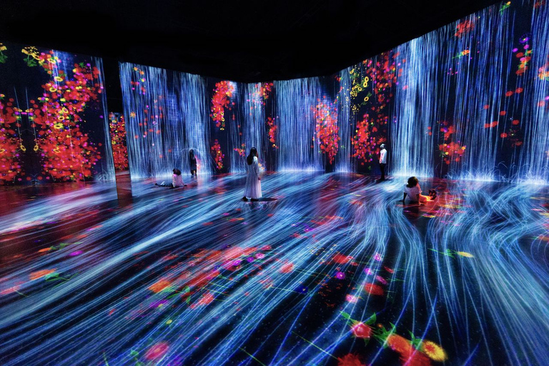 Miami: &#039;Superblue Miami&#039; Immersive Art Experience TicketSuperblue Entrance Ticket