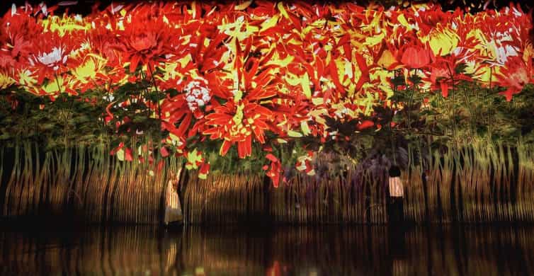 Miami: 'Superblue Miami' Immersive Art Experience Ticket photo 6