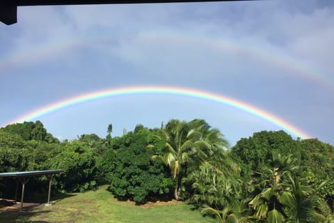 Honolulu: Private Oahu Island Tour