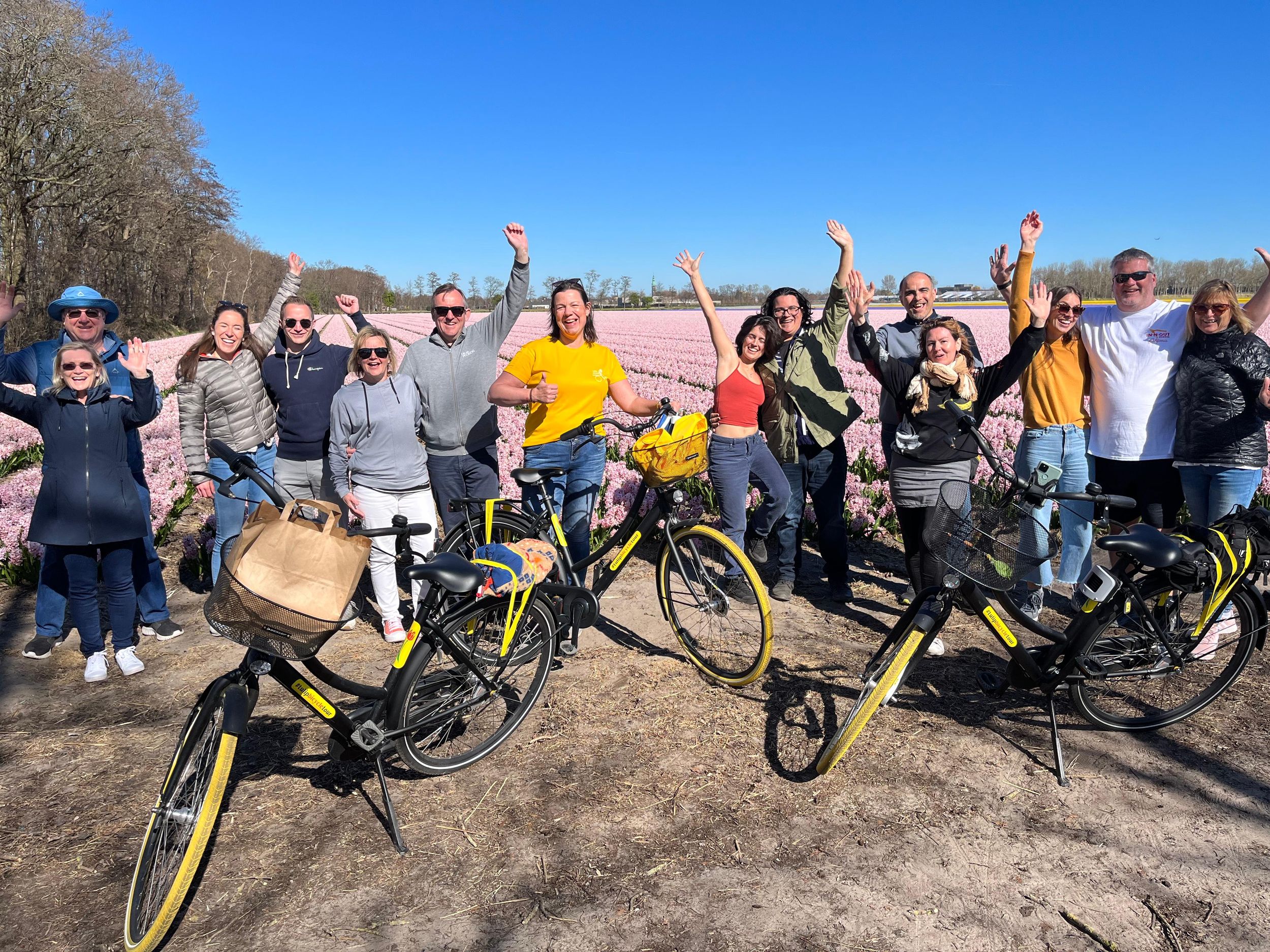 Lisse: Genieße die Tulpenfelder mit dem Fahrrad mit einem ortskundigen Guide!