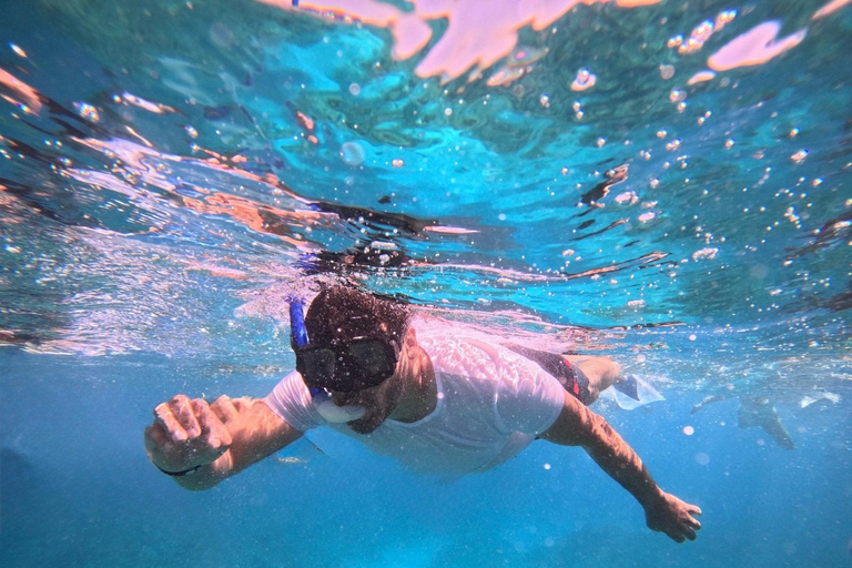 Hurghada or Makadi: Discover the Magic of Dolphin House Pick up from Makadi Bay - Dolphin House