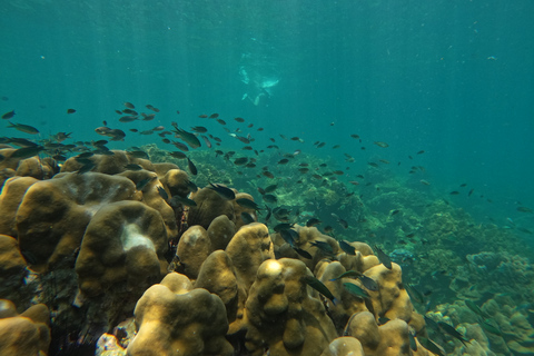 Îles Phi Phi et Bamboo : excursion d'une journée premium avec déjeuner en bord de merPhuket : îles Phi Phi avec déjeuner en bord de mer