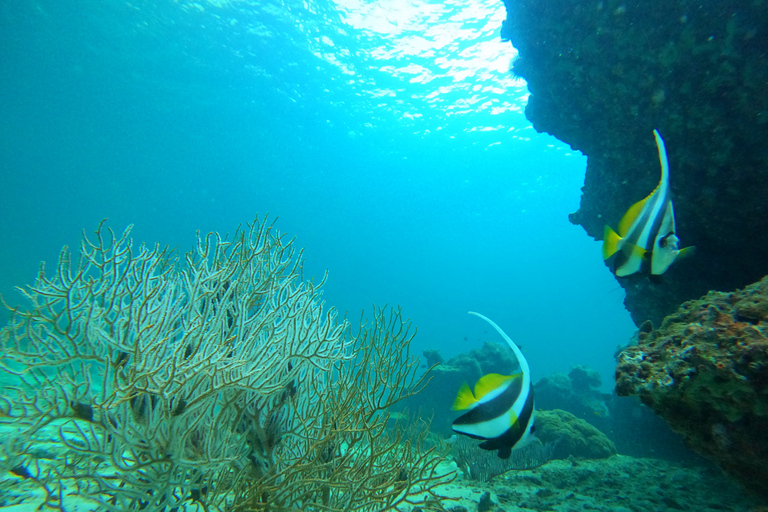 Phi Phi &amp; Bambuöarna: Premium dagsutflykt m/ lunch med havsutsiktPhuket: Phi Phi Islands Premium-dagstur med lunch vid havet