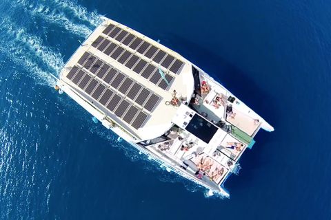 Barcelona: Barcelonan sataman Eco Catamaran Cruise