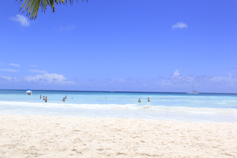 Punta Cana: tour de 1 día a isla Saona y Altos de ChavónTour desde Punta Cana