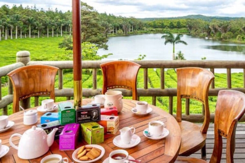 Maurice : visite guidée des plantations de thé et de sucre avec déjeuner