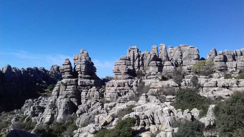 De Málaga: Parque Natural Torcal Antequera e Dolmens Site