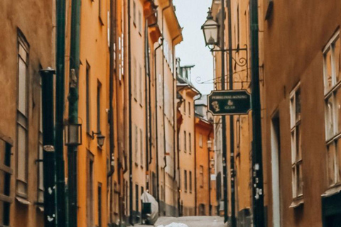 Visite photographique de Stockholm avec un photographe privé