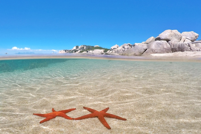 From Palau: La Maddalena Archipelago 4 Stops Boat Tour From Palau: La Maddalena Archipelago Full-Day Boat Tour