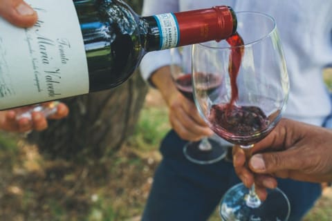 Berat: tour in auto al villaggio di Roshnik con degustazione di vini