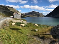 Geiranger, Dalsnibba, Flydalsjuvet, Eagle Bend & Fjords Tour - Housity