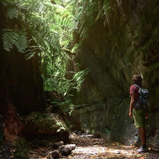 La Palma: Geführte Trekkingtour zum Cubo de la Galga