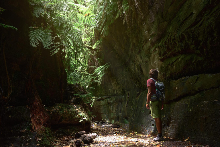 La Palma: wycieczka trekkingowa z przewodnikiem do Cubo de la GalgaWycieczka z odbiorem