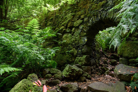 La Palma: Geführte Trekkingtour zum Cubo de la GalgaTour mit Abholung