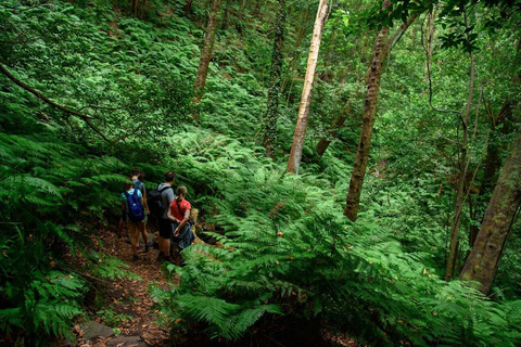 La Palma: Guided Trekking Tour To Cubo de la GalgaFuencaliente: Pick up in Fuencaliente