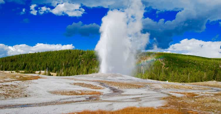 Jackson: Yellowstone National Park Group Tour & Picnic Lunch | GetYourGuide