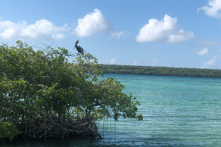 Desde Punta Cana: Saona, Canto de la Playa en grupo reducidoDesde Punta Cana: crucero por el Parque Nacional Cotubanama con almuerzo