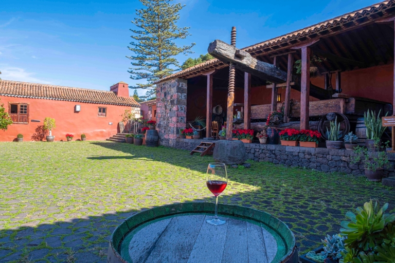 Tenerife: entrada al Museo del Vino con degustación de vinos locales y comidaPrueba 4 vinos y 4 especialidades locales