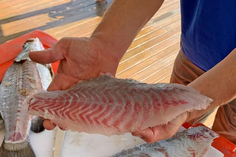 Wonga: tour guiado de pesca, agricultura y degustación