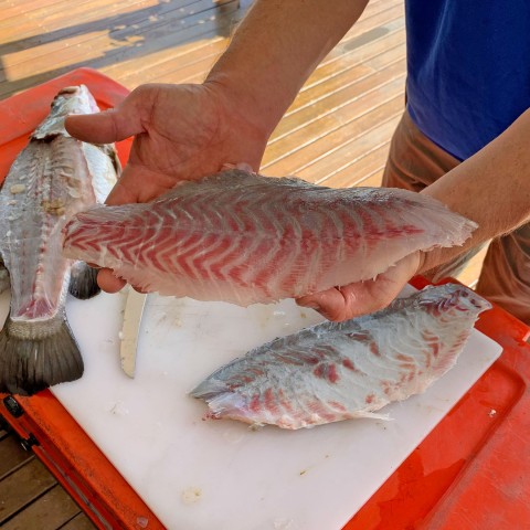 Visit Wonga Guided Fishing, Farming and Tasting Tour in Cape Tribulation