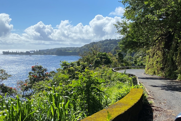 Maui: Road to Hana Private Adventure Tour con SUV de lujoRoad to Hana Tour privado en SUV